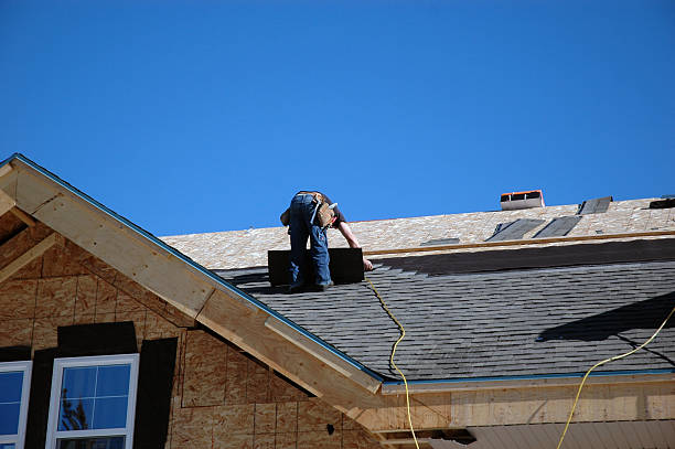 Best Roof Gutter Cleaning  in Perry, FL